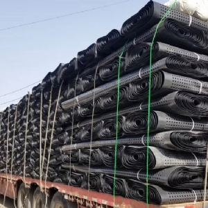 Plastic Drainage Board